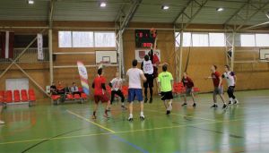 IMG 6637