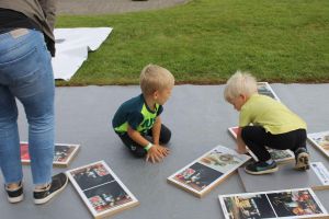IMG 7382