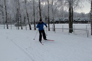 IMG 7967